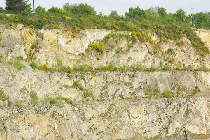 Spécialistes des études environnementales Venansault