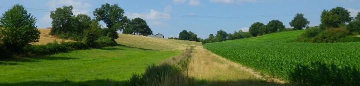 Études environnementales Venansault