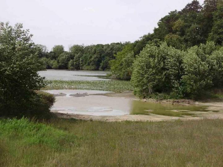 Études environnementales Venansault