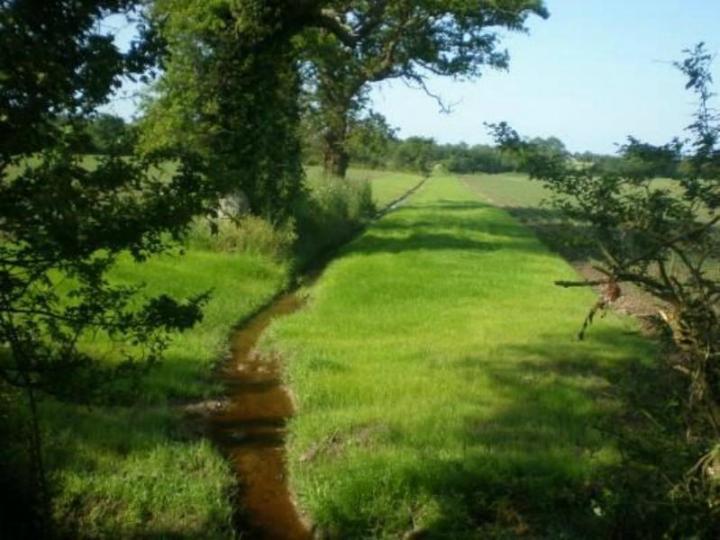 Études environnementales Venansault
