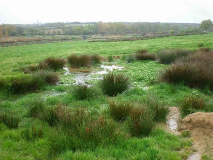 Études environnementales Venansault
