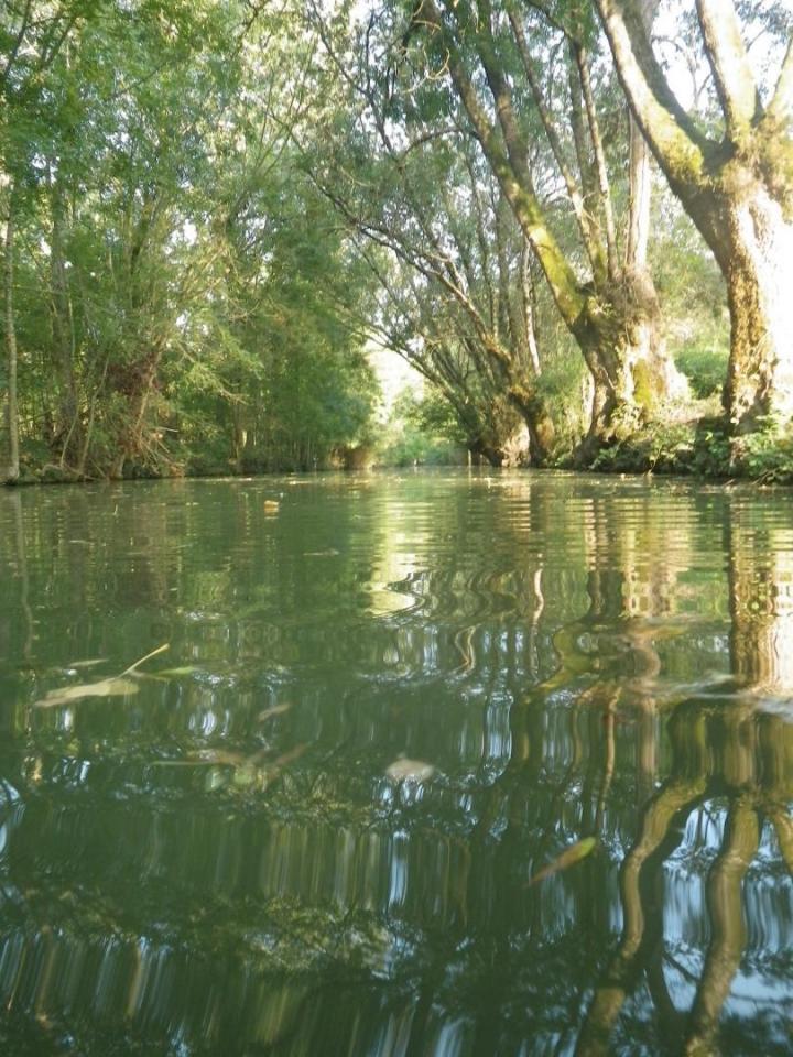 Spécialistes des études environnementales Venansault