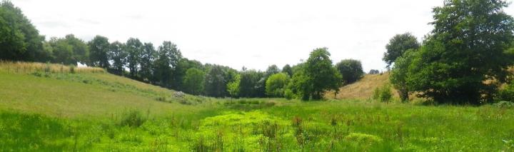Études environnementales Venansault