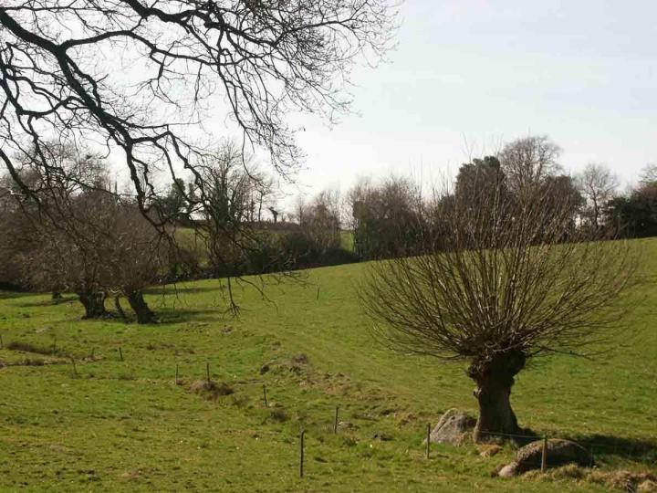 Études environnementales Venansault