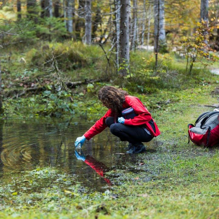 L’élaboration des dossiers réglementaires environnementaux fait partie des spécialités du bureau XYZ dans la Vendée.